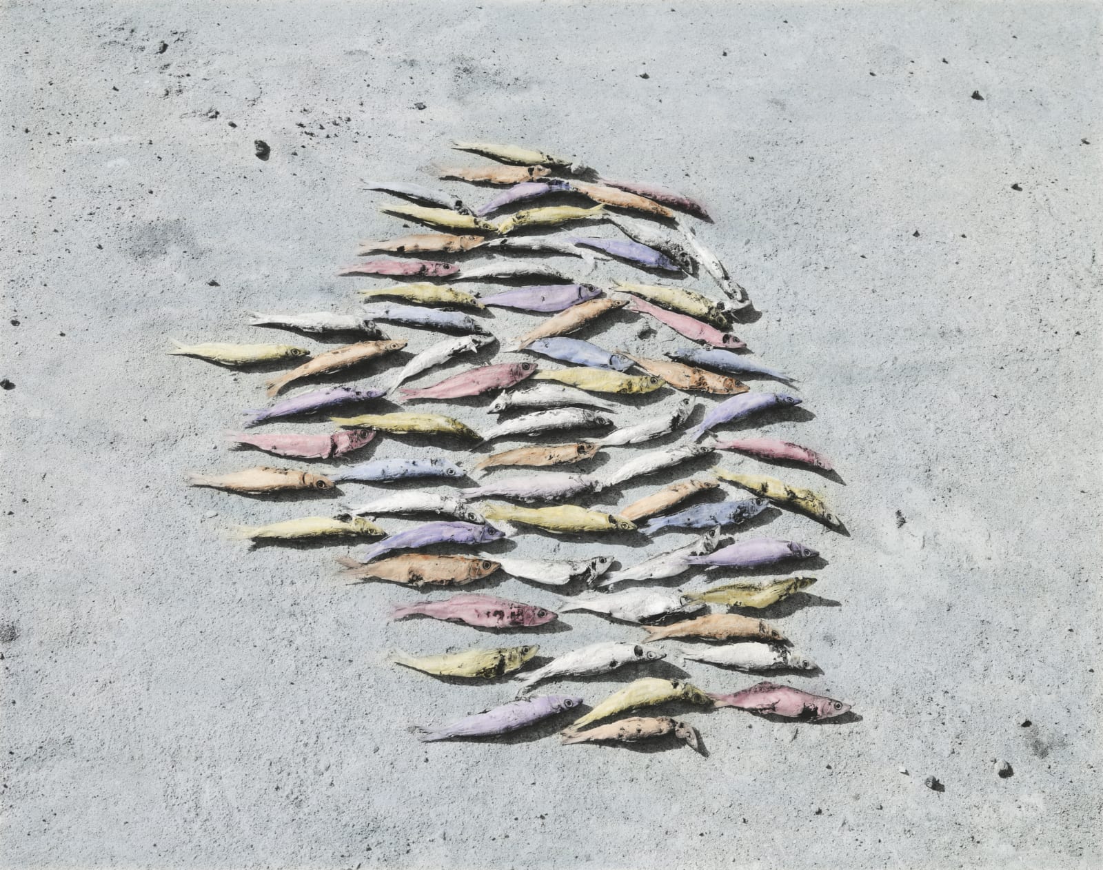 Vasantha Yogananthan, Magic Fishes, 2013