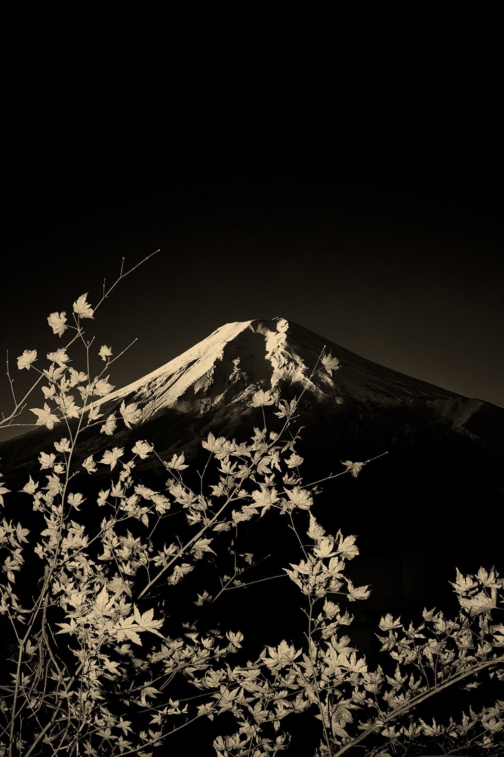 Paul Cupido, Mt Fuji #3, 2019