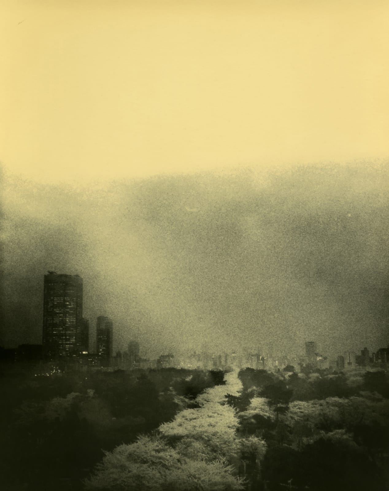 Miho Kajioka, BK0185, 2016