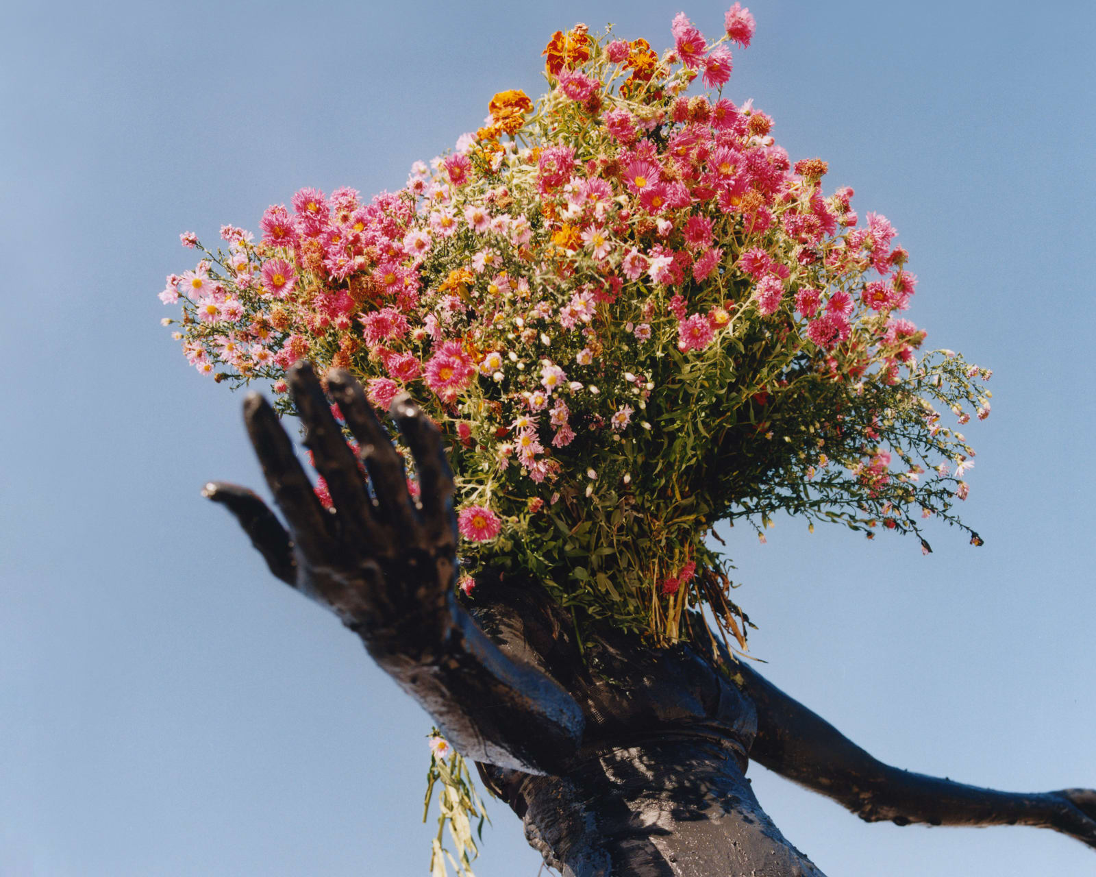 Clarisse d'Arcimoles, The Way of the Salamander #1