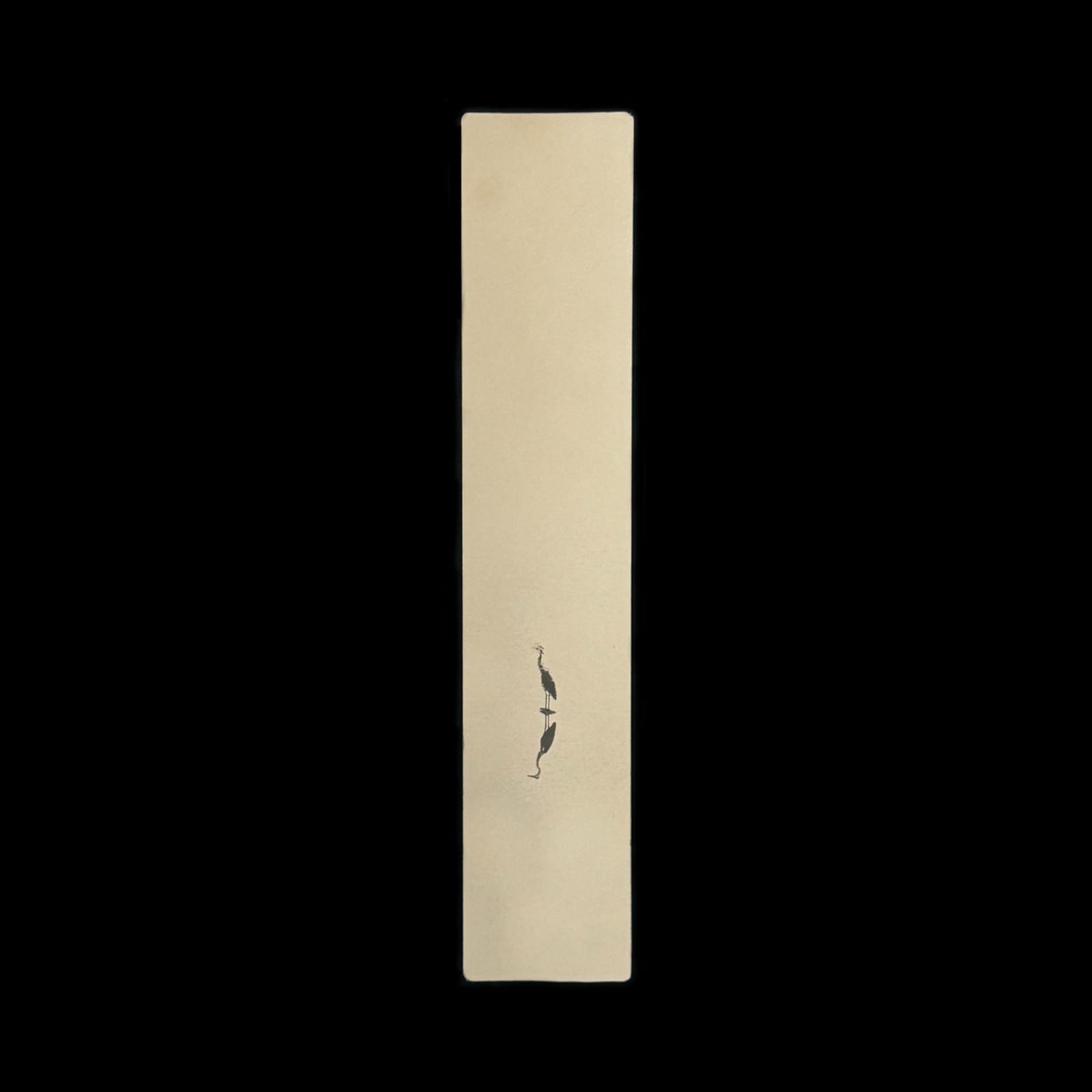 Miho Kajioka, #0120, 2024