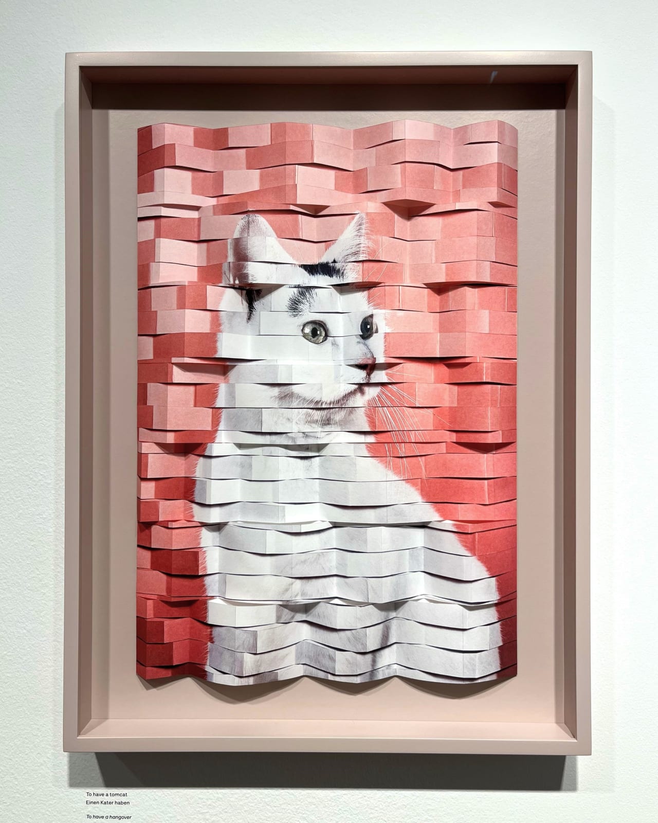 Alma Haser, To have a tomcat (Einen Kater haben), 2023