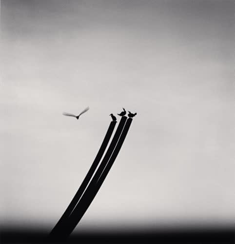 Michael Kenna, Four Birds, St Nazaire, France, 2000