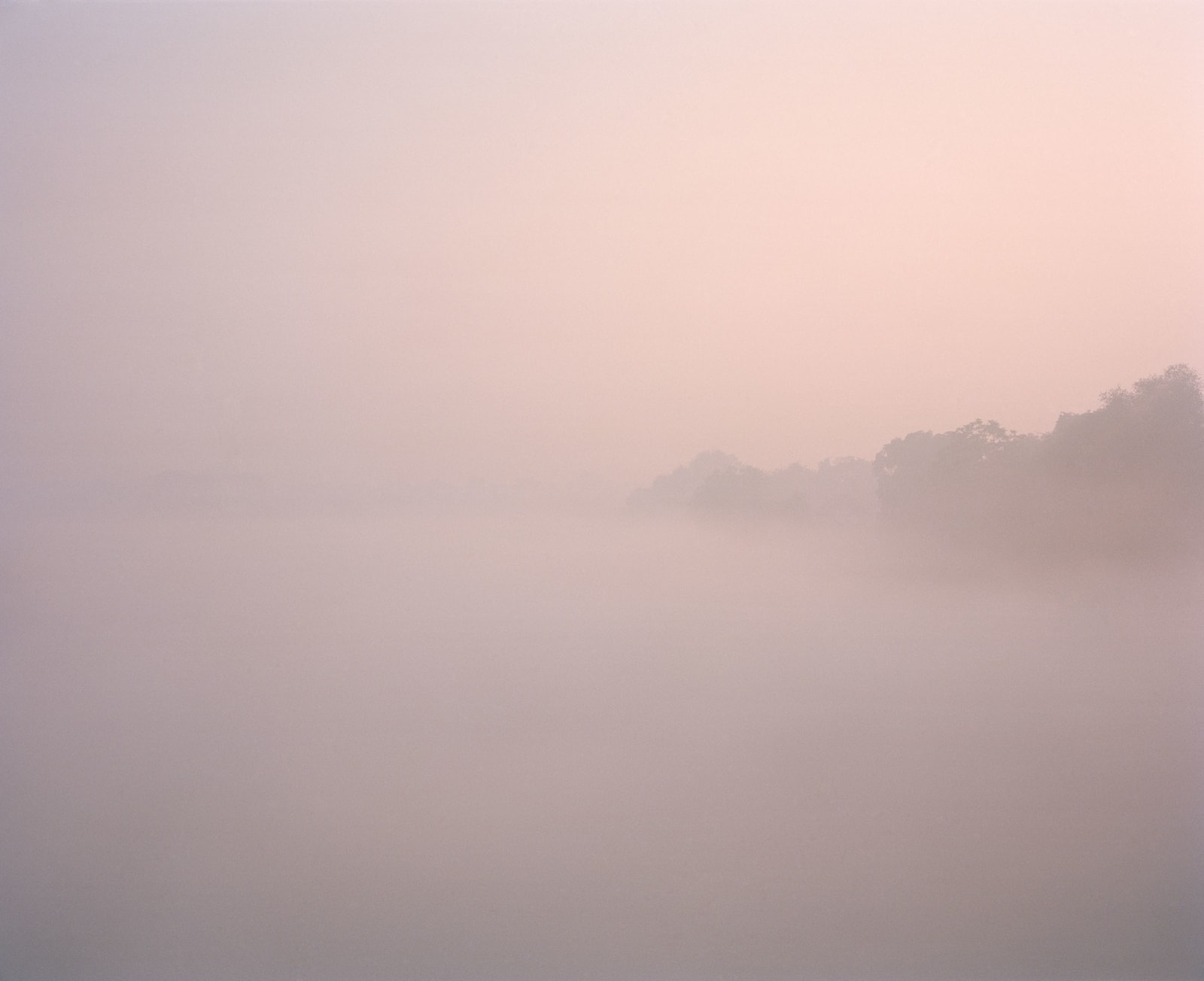 Vasantha Yogananthan, View of the Sangam #2, 2013