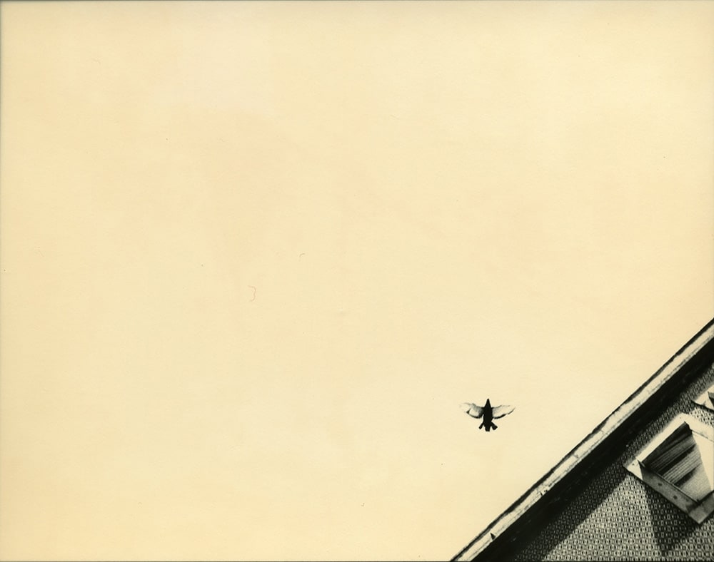 Miho Kajioka, BK0221, 2016