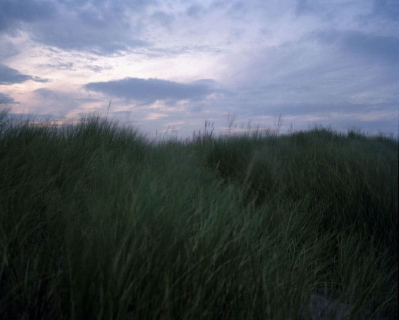 Sophie Gerrard, Menie Marram #7, 2012