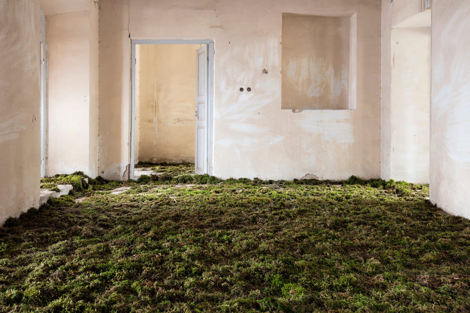 Gohar Dashti, Home #3, 2017