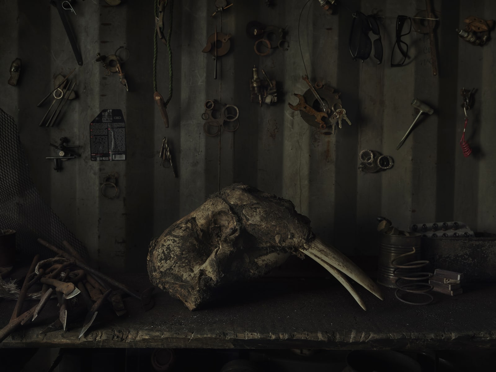 Evgenia Arbugaeva, Untitled 85, 2019-2020