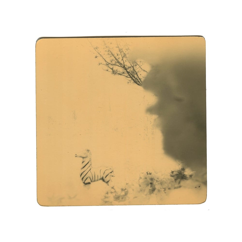 Miho Kajioka, BK0325, 2017