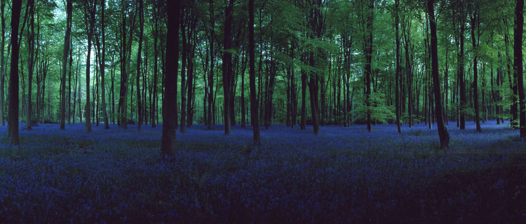 Chrystel Lebas, Blue Hour 7, 2006