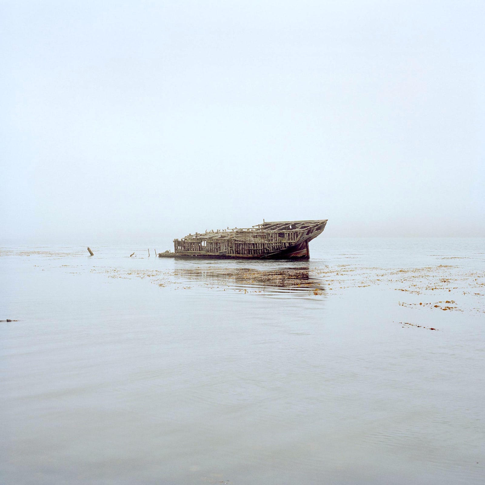 Jon Tonks, The Jhelum, Port Stanley, Falkland Islands , 2011