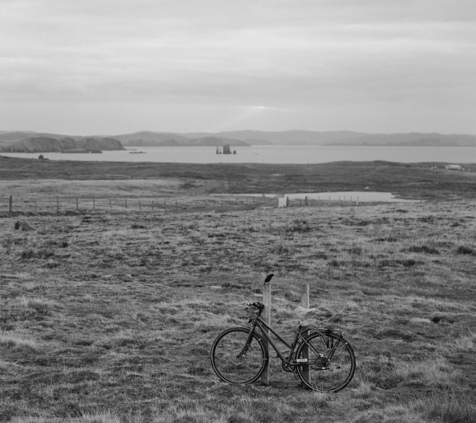 Pentti Sammallahti, Tangwick, Mainland, Shetland, 2016