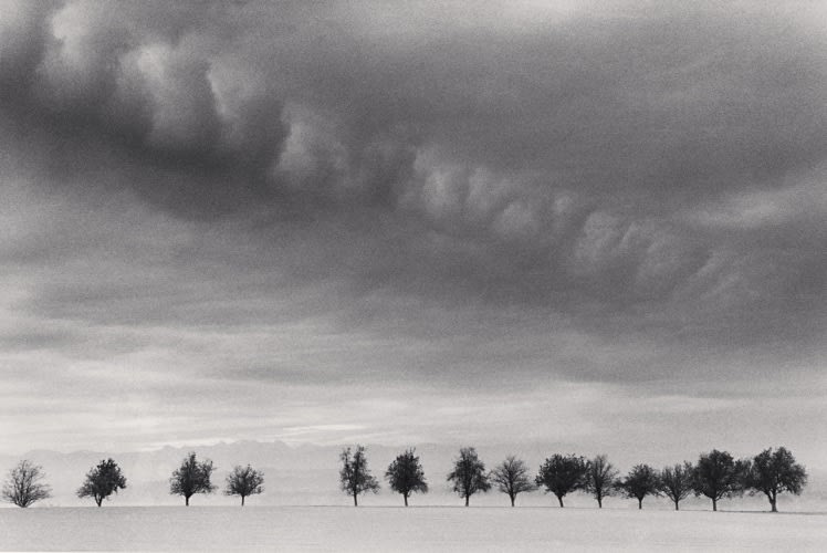 Michael Kenna, Fourteen Trees, Marbach, Austria, 1999