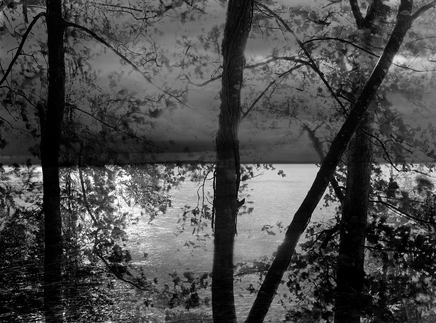 Nicholas Hughes, Verse III, #15, 2021