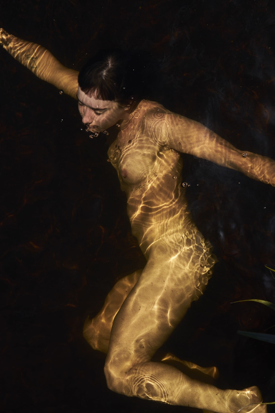 Presence, Anke Loots, Dancing, Cape Town, 2019