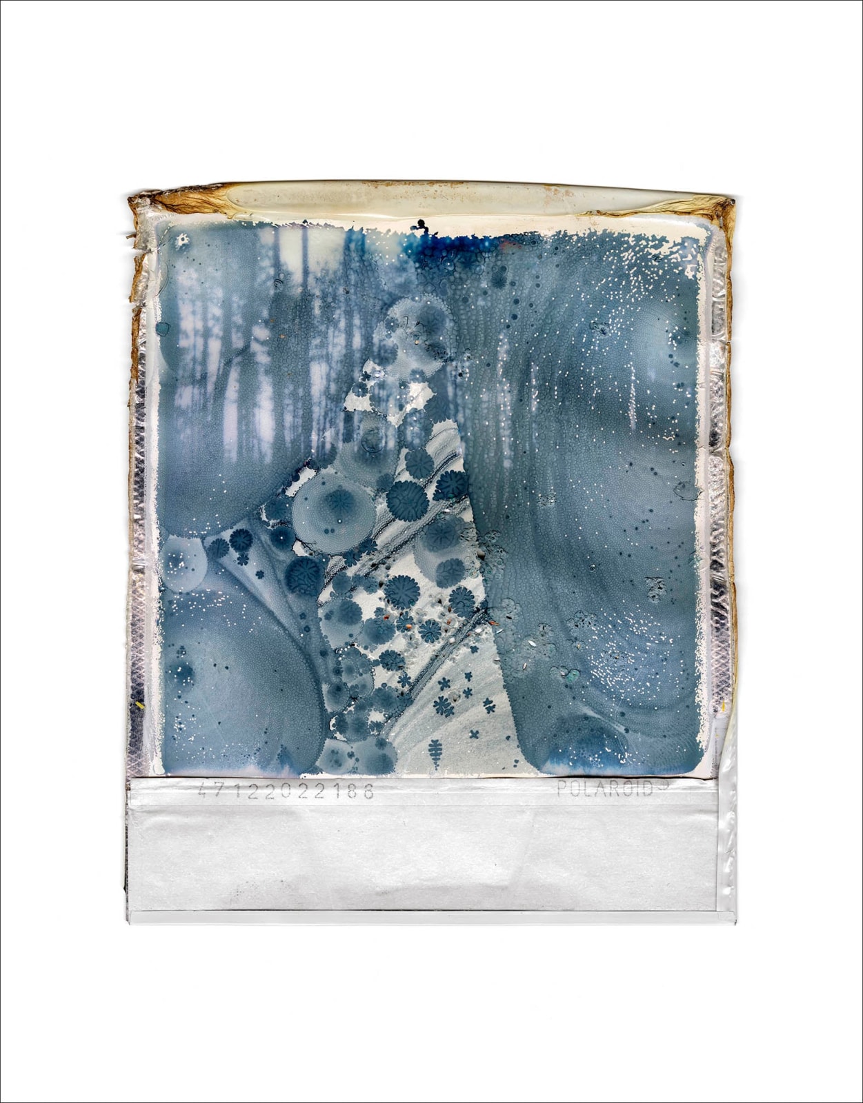 Gohar Dashti, Disappearing Nature #3, 2022