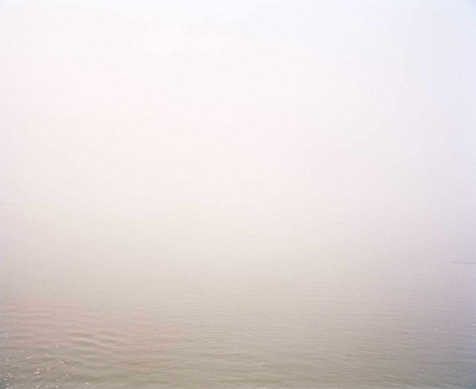 Vasantha Yogananthan, Monochrome #1, 2013