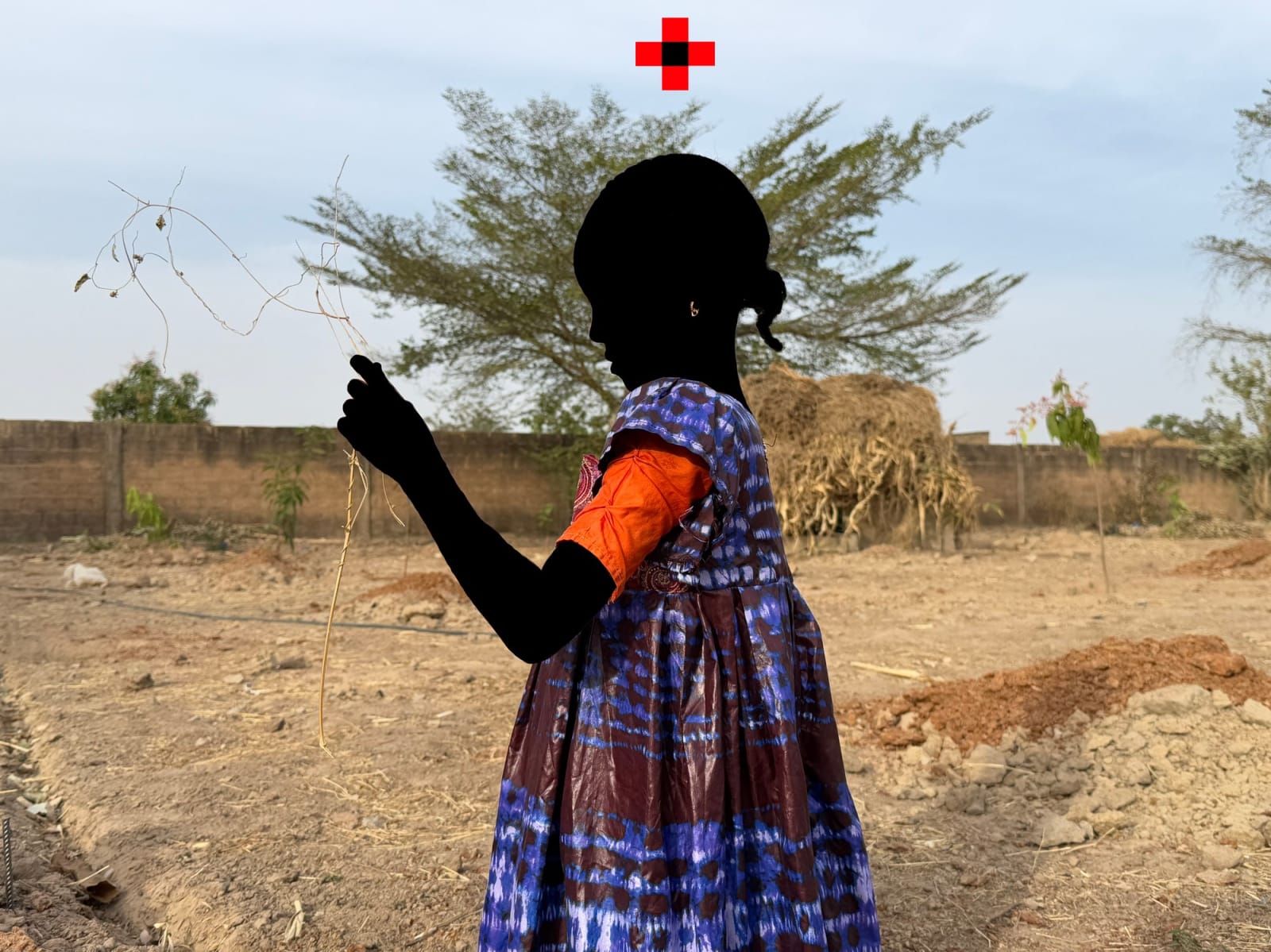 Saïdou Dicko, Future forest