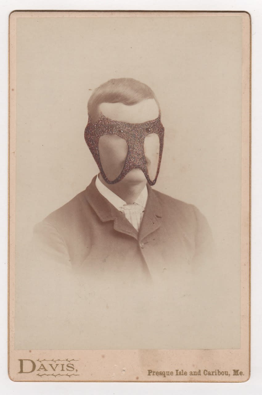 Tom Butler, Dave, 2015
