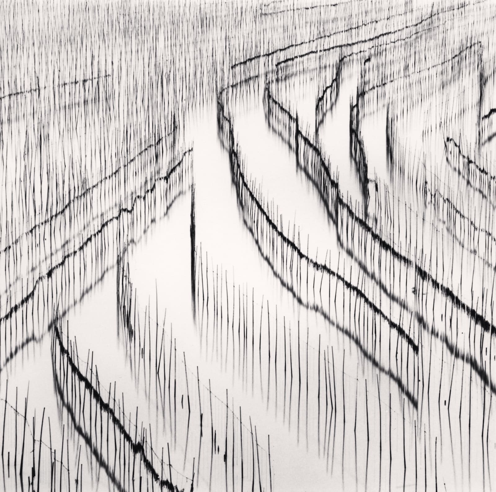 Michael Kenna, Seaweed Farms, Study 3, Xiapu, Fujian, China, 2010