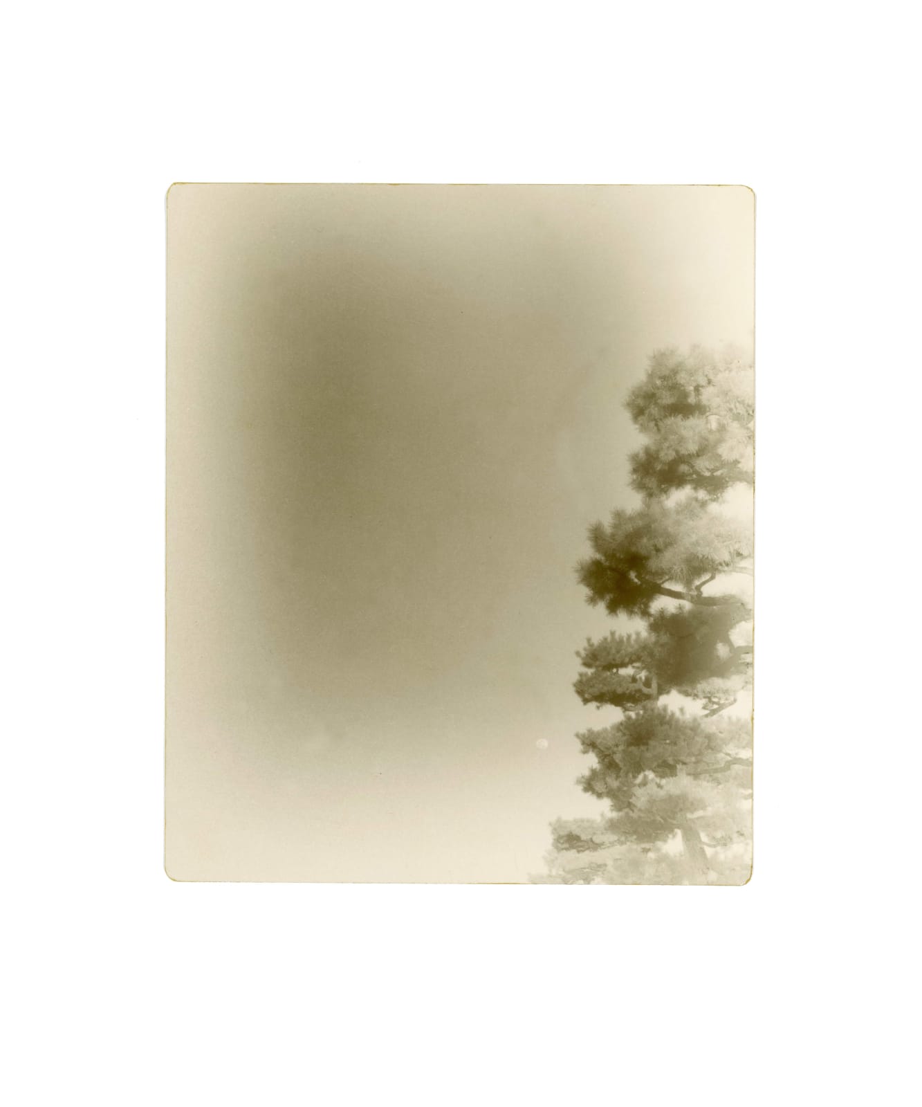 Miho Kajioka, #0075, 2018