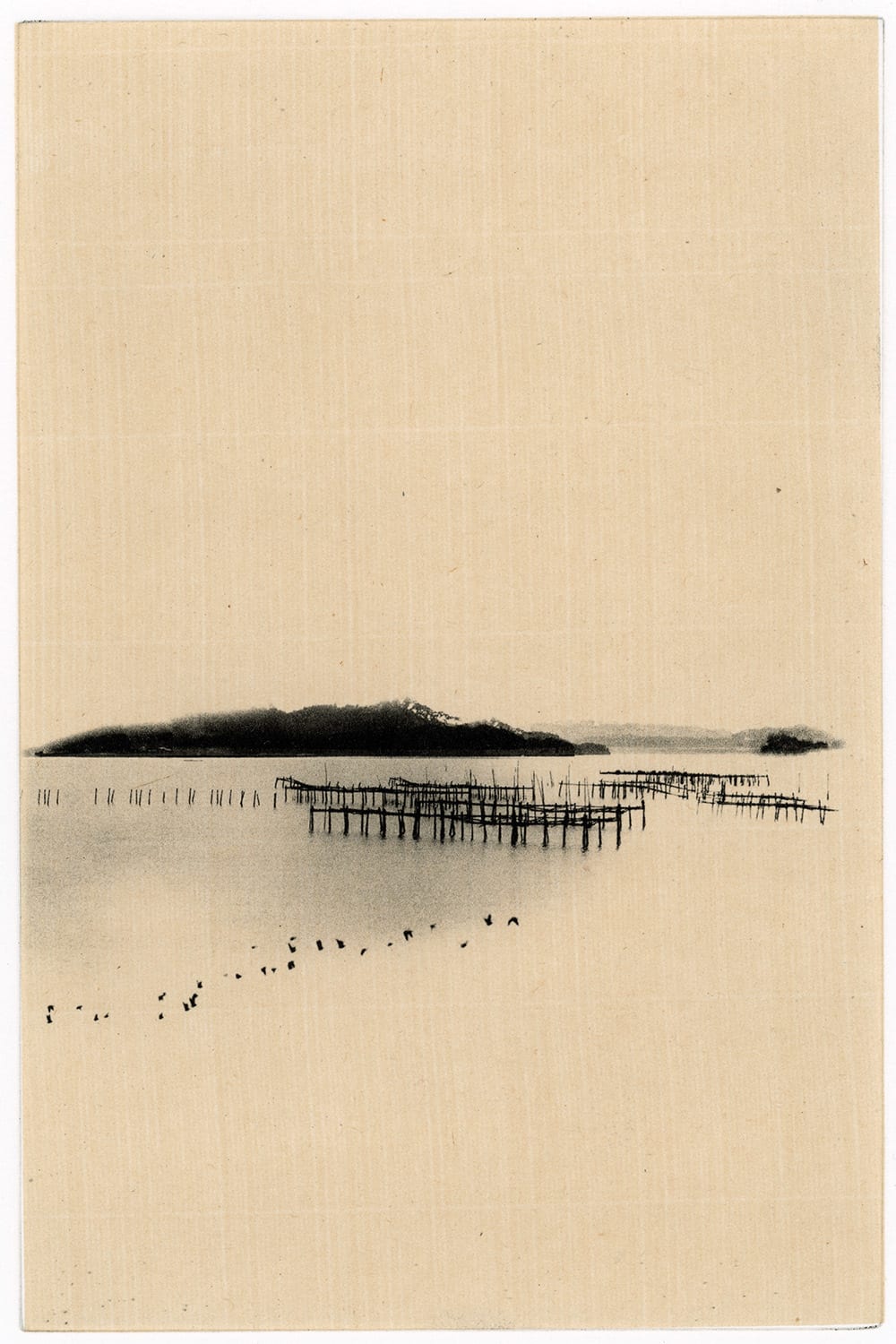 Paul Cupido, Matsushima, 2017