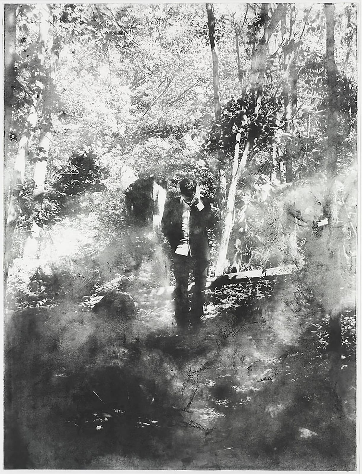 Narcissus, 2008