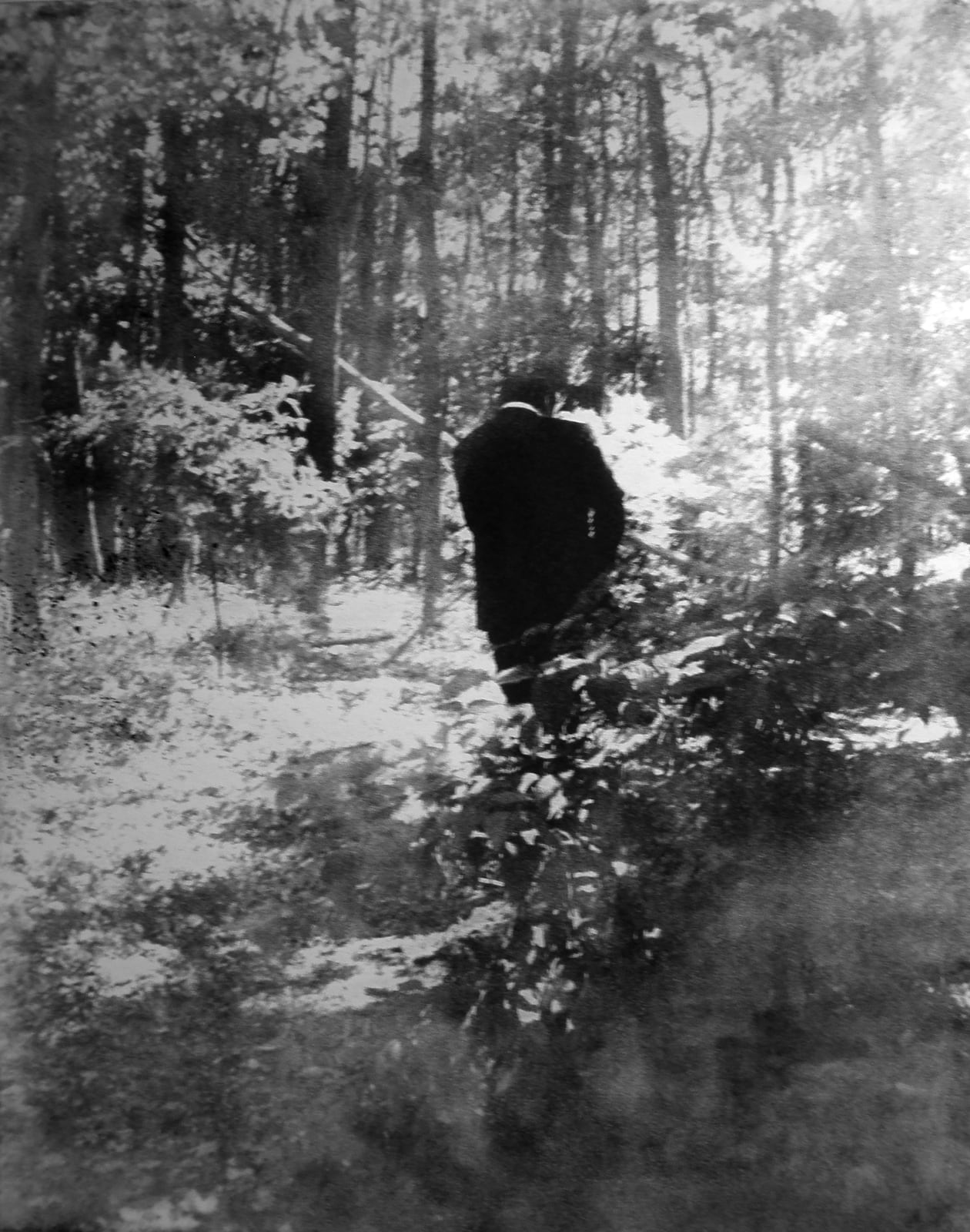 Narcissus, 2008