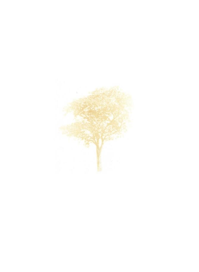 Nicotine, 2008-2022
