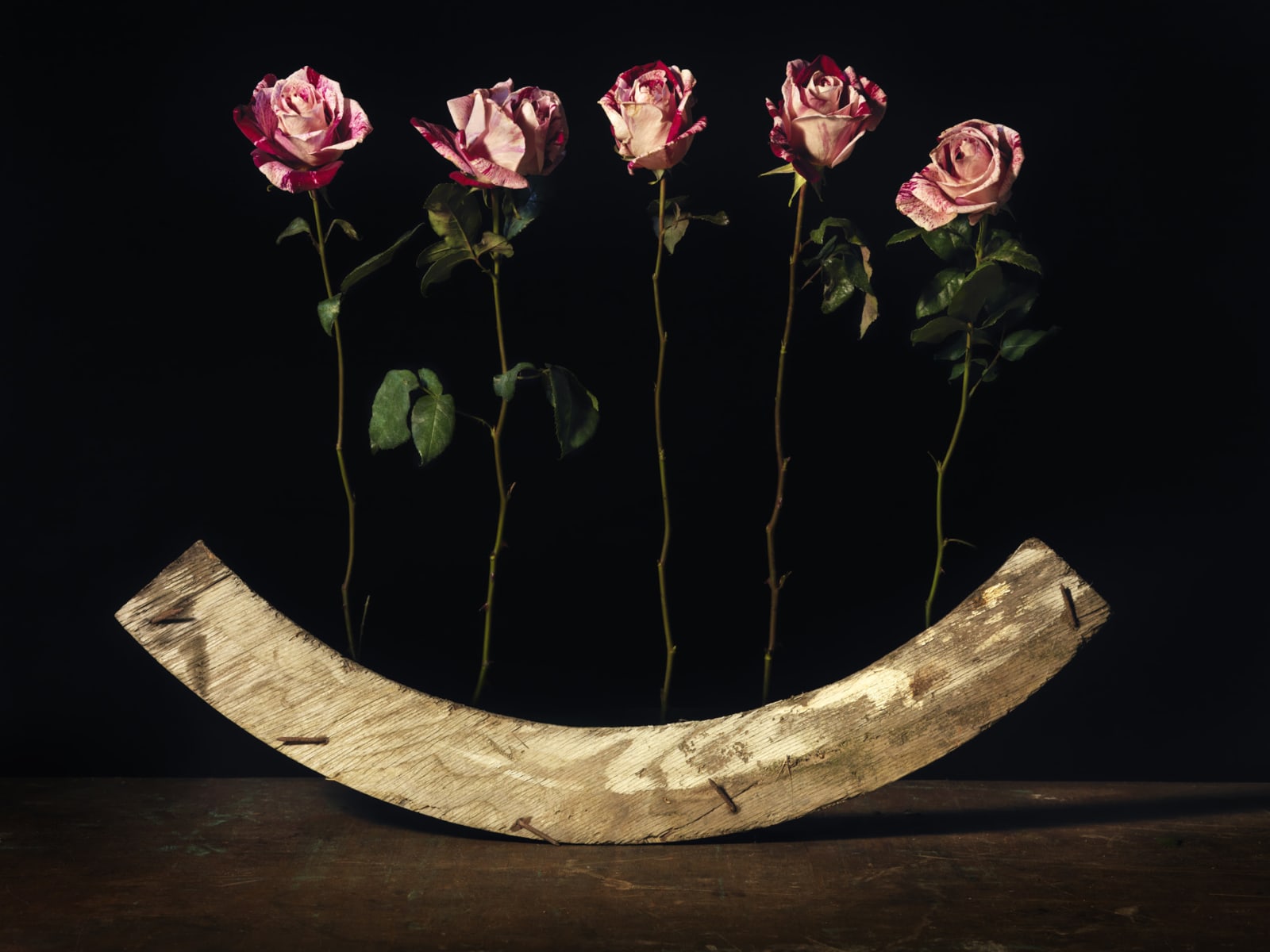 Michele Turriani, Plywood, 2019