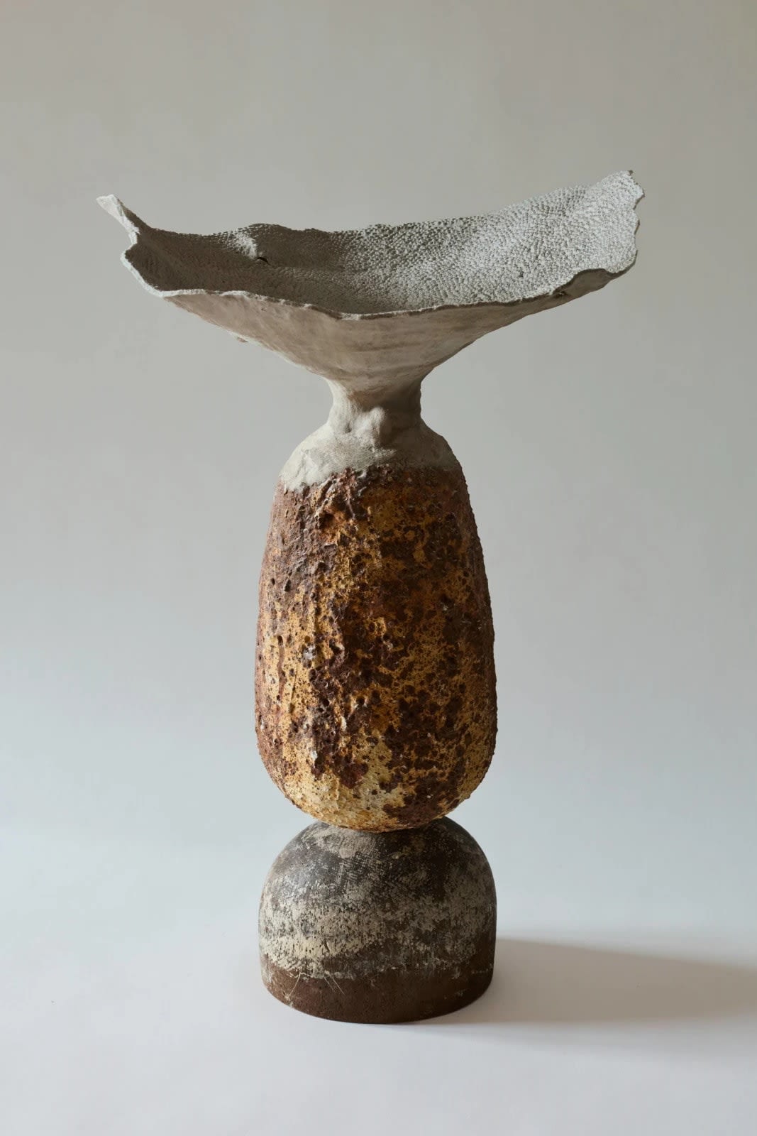 Nicolas Lefebvre, Anémone, 2024