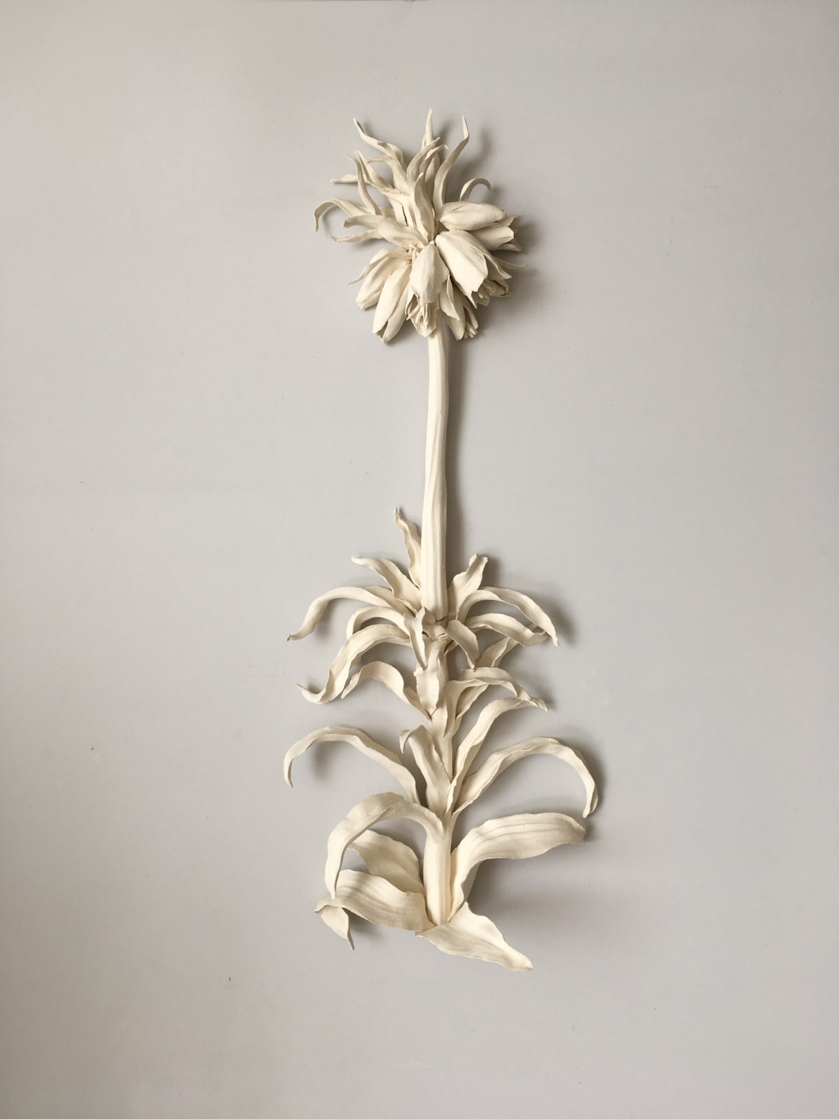Kaori Tatebayashi, Fritillaria Imperialis, 2019