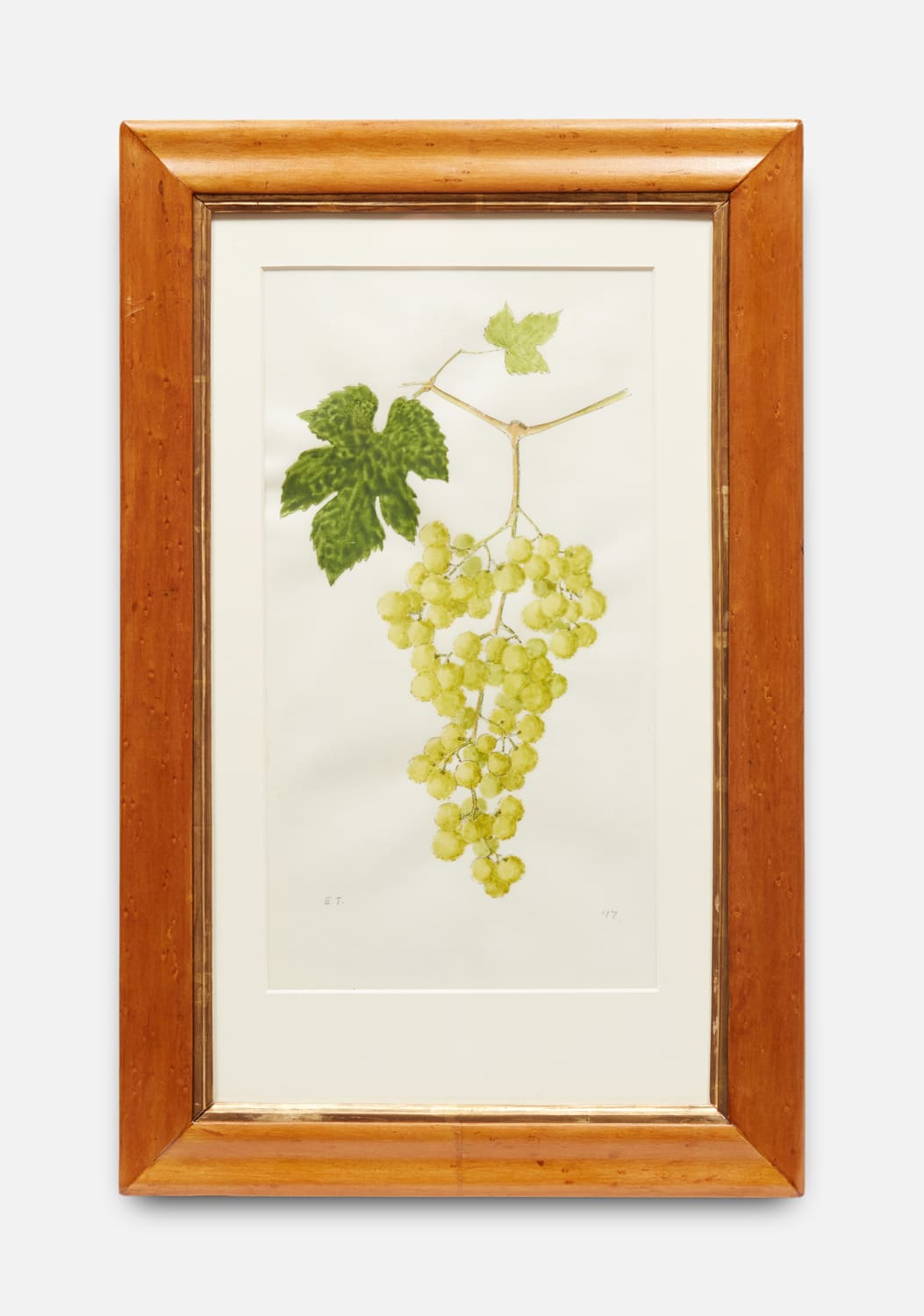 Emma Tennant, Seedless Grapes From Philiphaugh, 2017