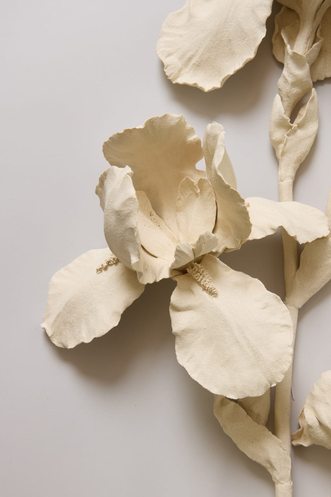 Kaori Tatebayashi, Irises, 2025