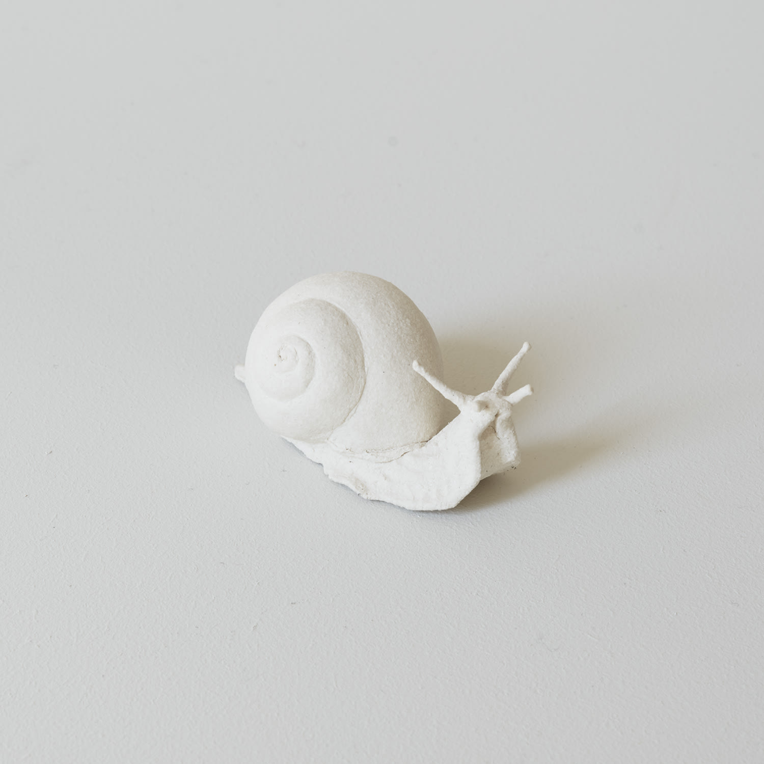 Kaori Tatebayashi, Snail II, 2019