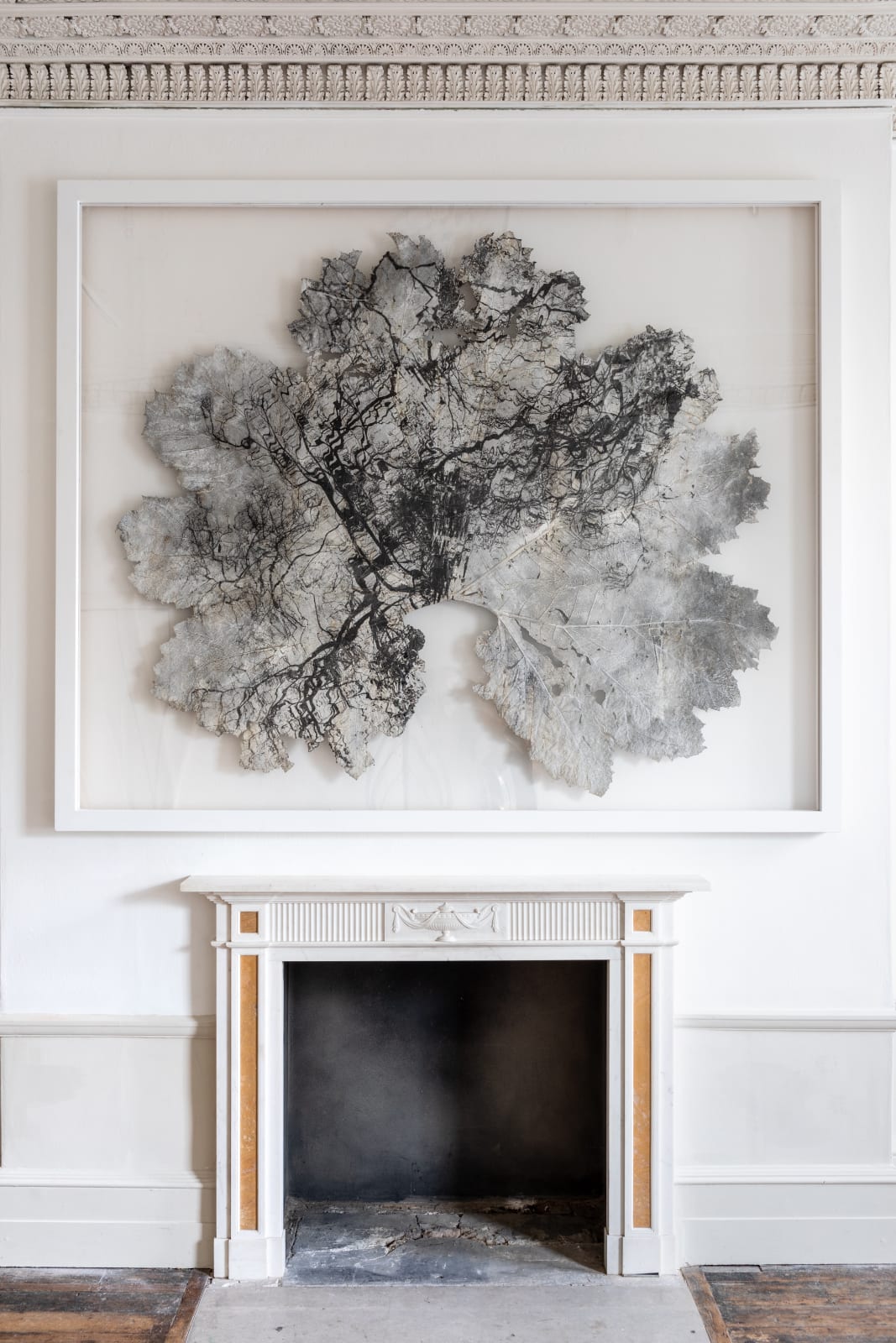 Dominique Lacloche, Leaf V, 2020