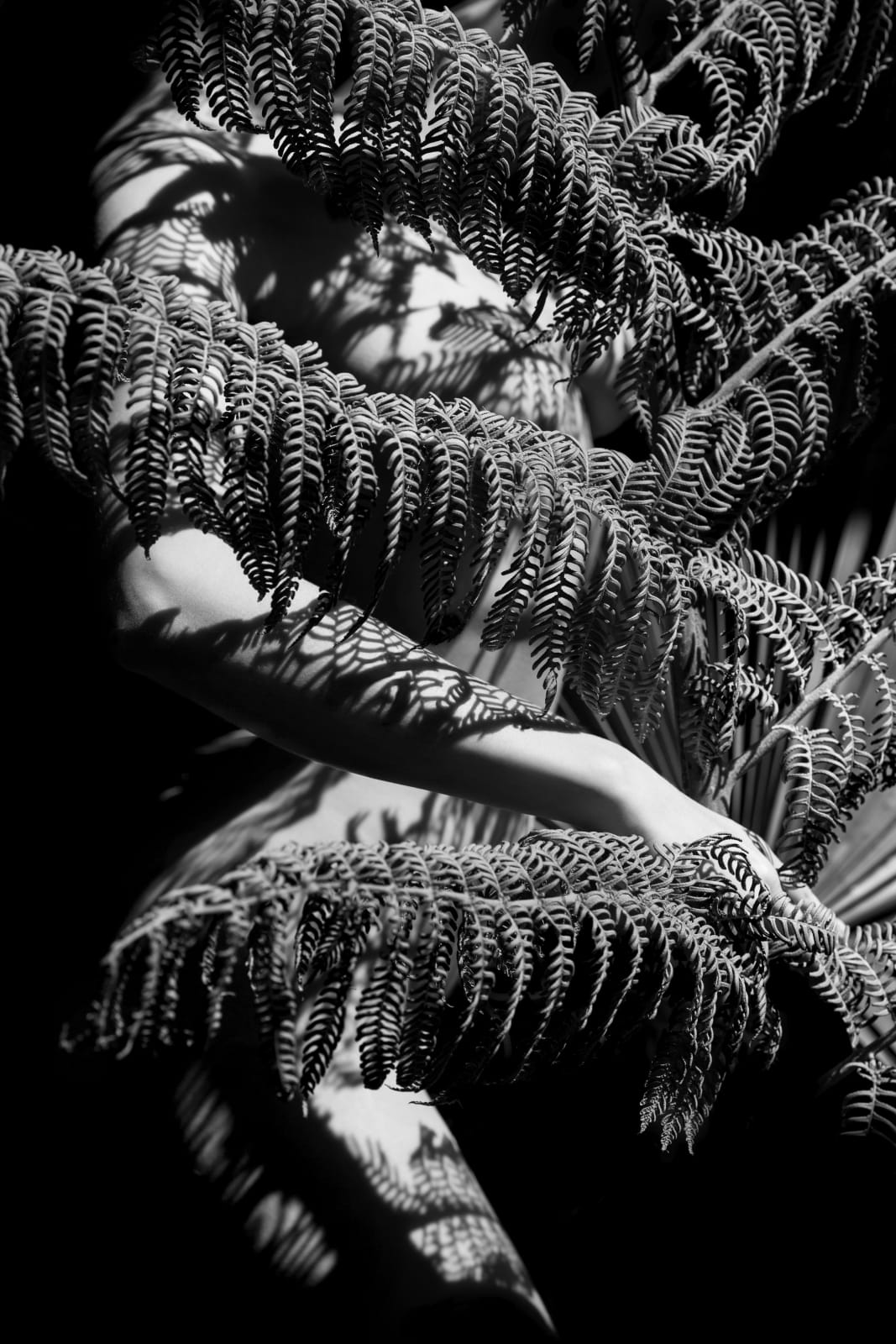 Maryam Eisler, Carmel 15 (Carmel IV), 2018