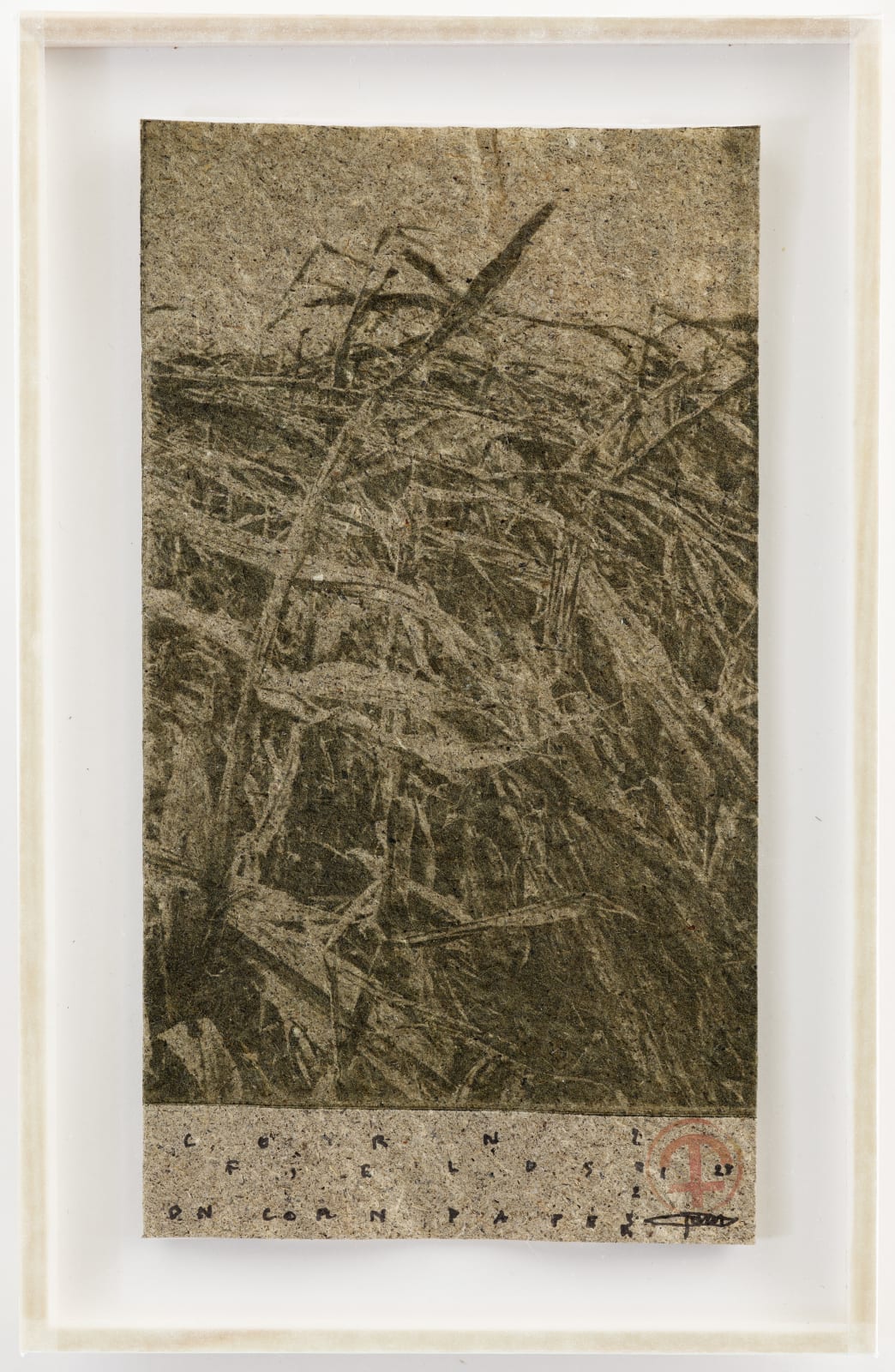 Parme Baratier, Corn Field, 2023