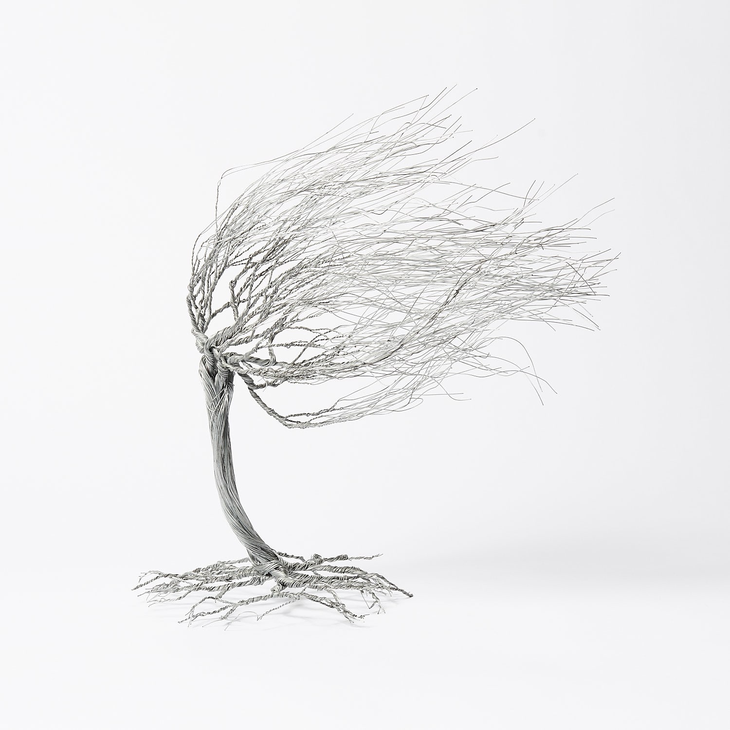 Soufien, Tempete, 2019
