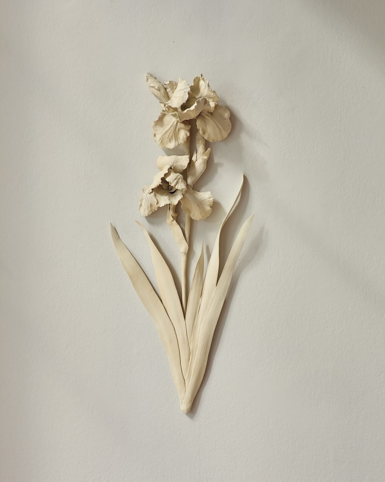 Kaori Tatebayashi, German Iris, 2024