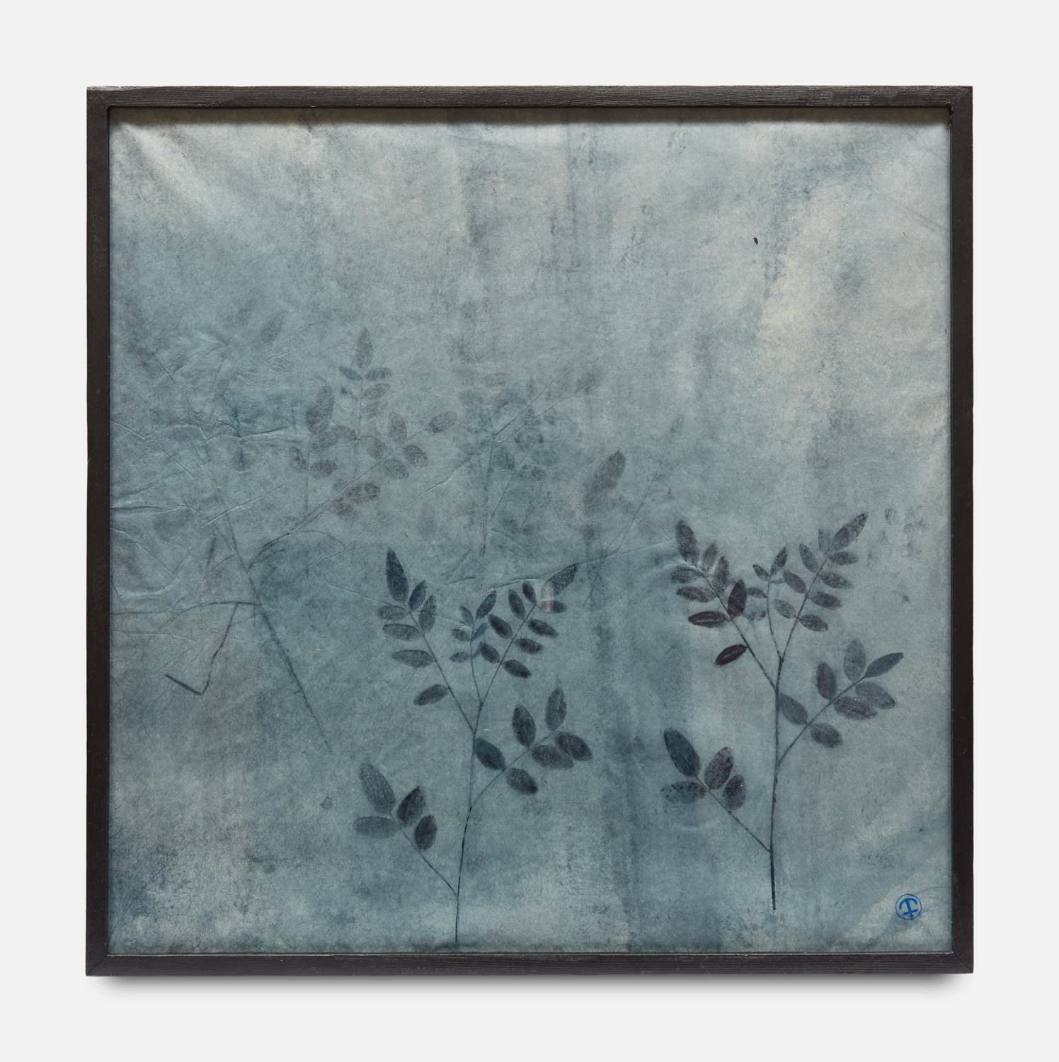 Parme Baratier, Indigofera Tinctoria III, 2018