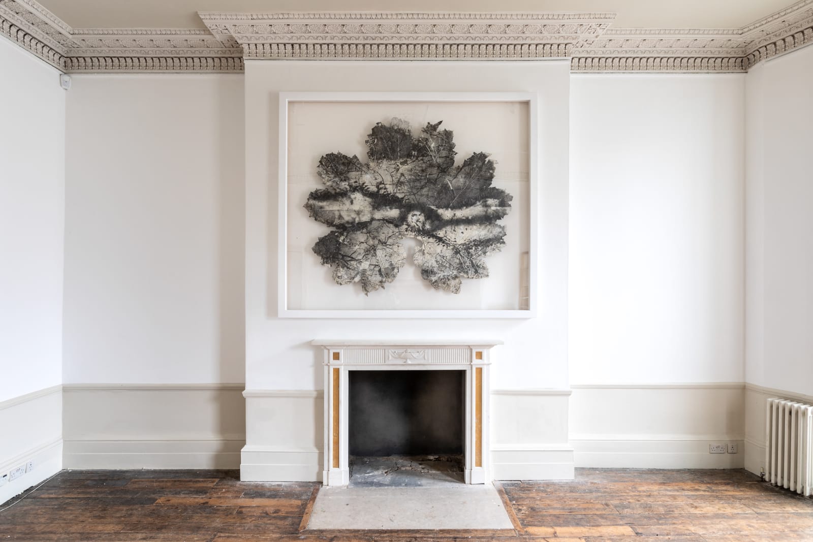 Dominique Lacloche, Leaf IX, 2020