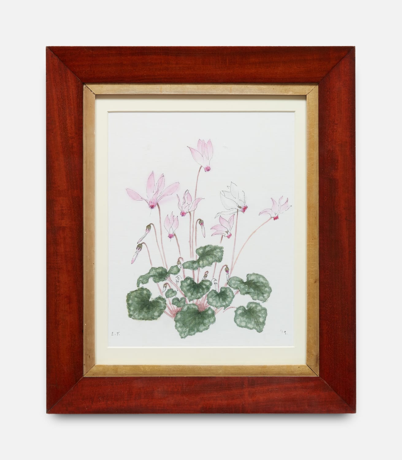 Emma Tennant, Cyclamen Persicum, 2019