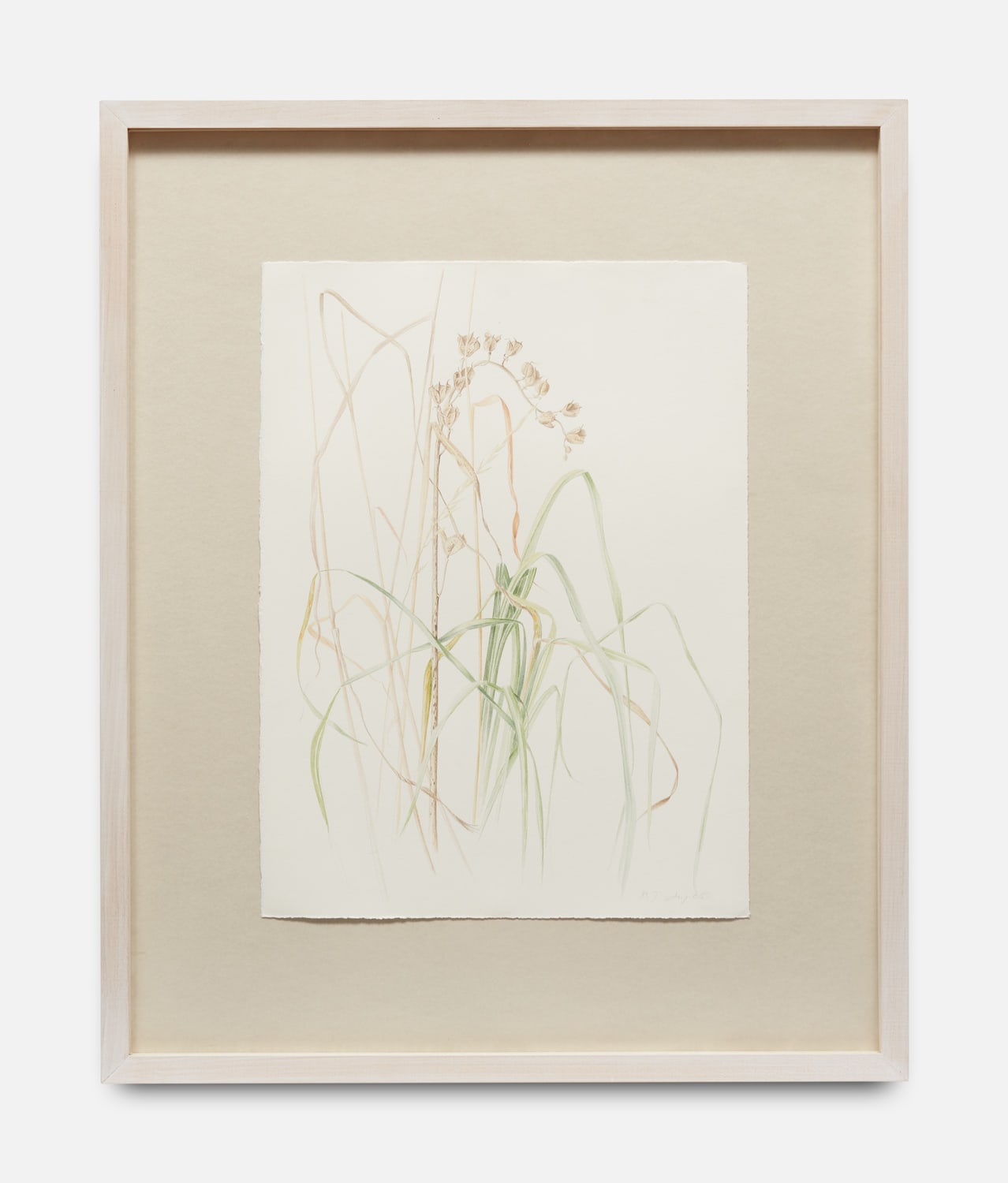 Rebecca John, Bluebell Seed Head in Grass, 30 Aug / 31 Aug 05, 2005