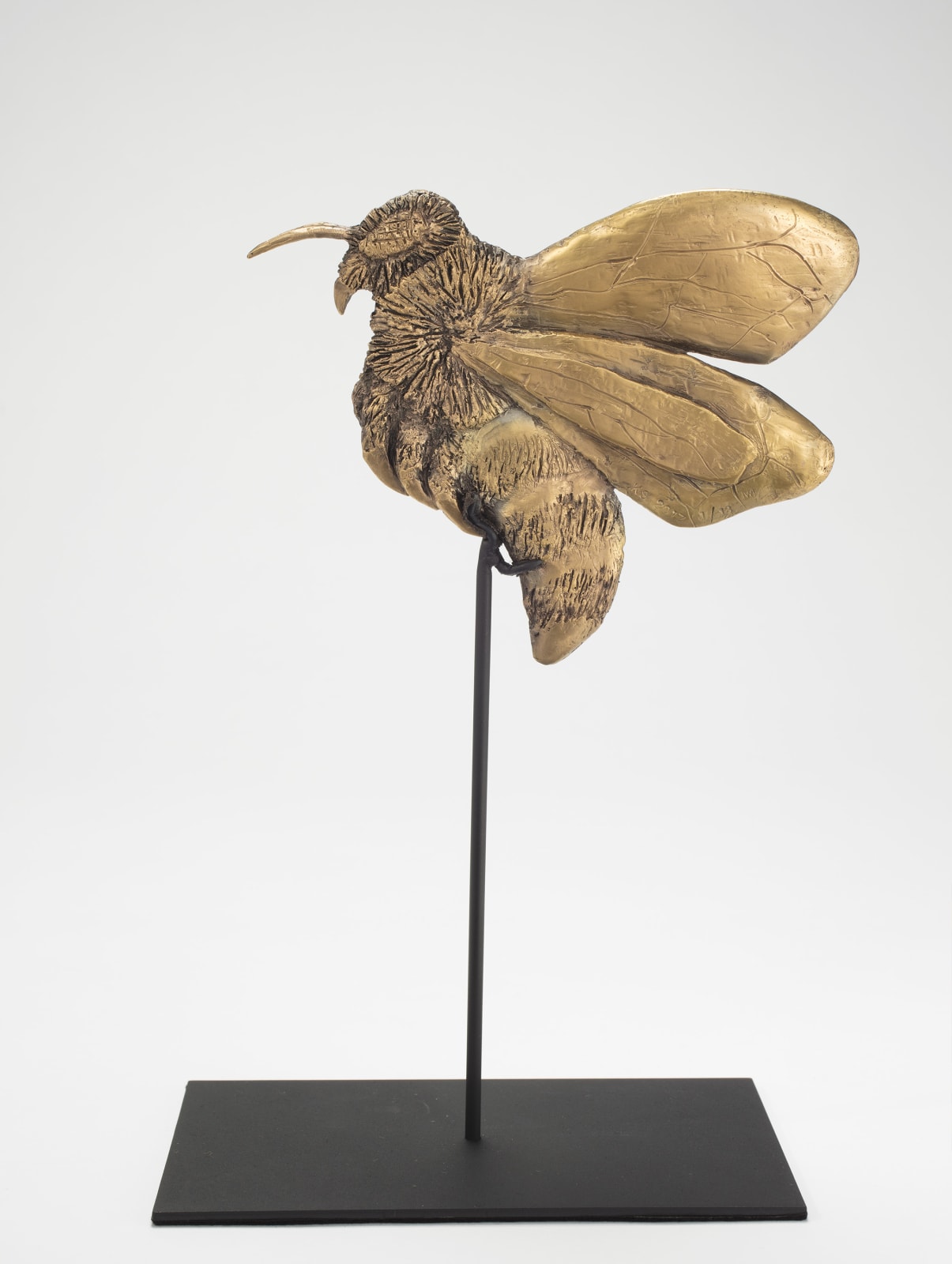 Kiki Smith, Forager A, 2017