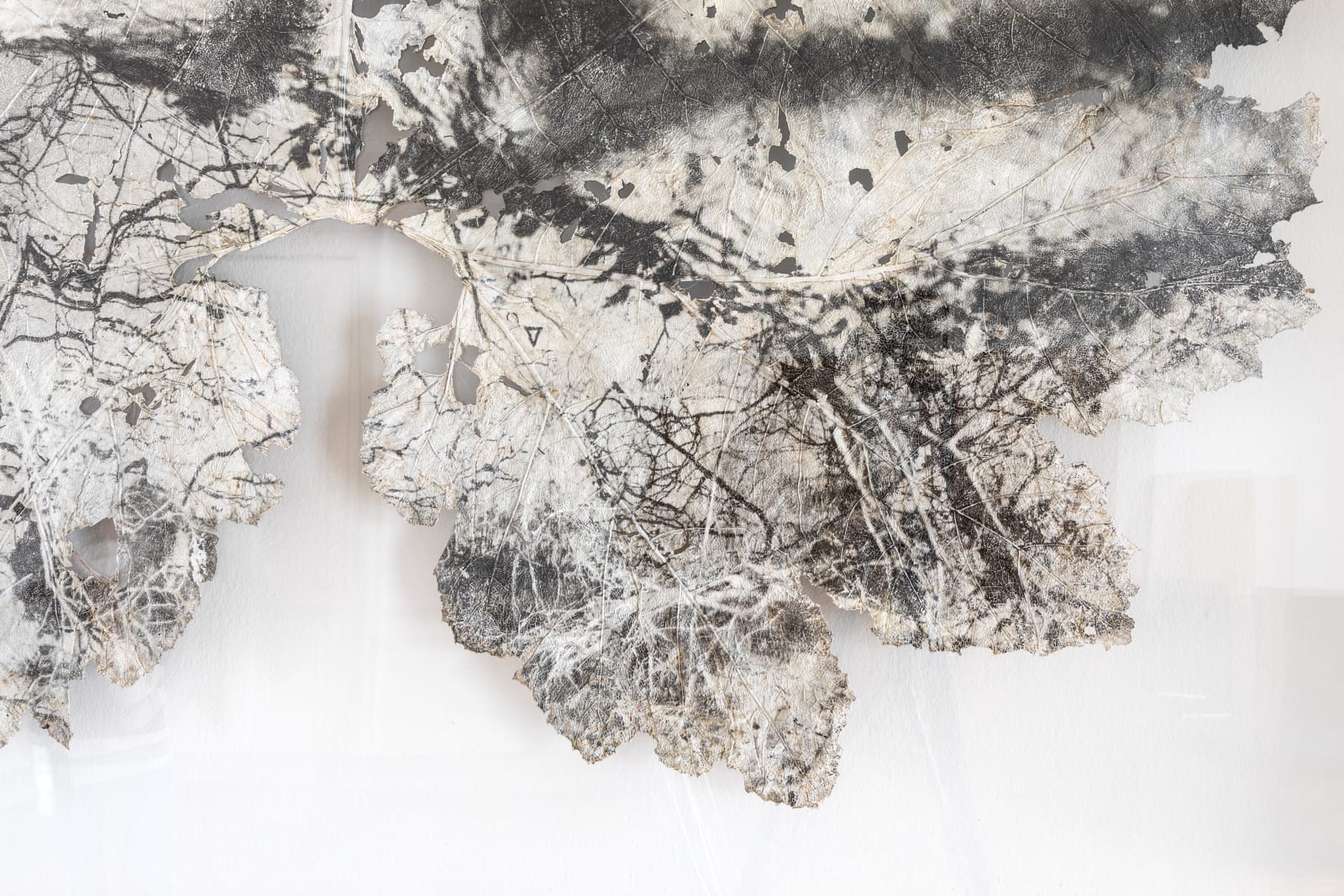 Dominique Lacloche, Leaf IX, 2020