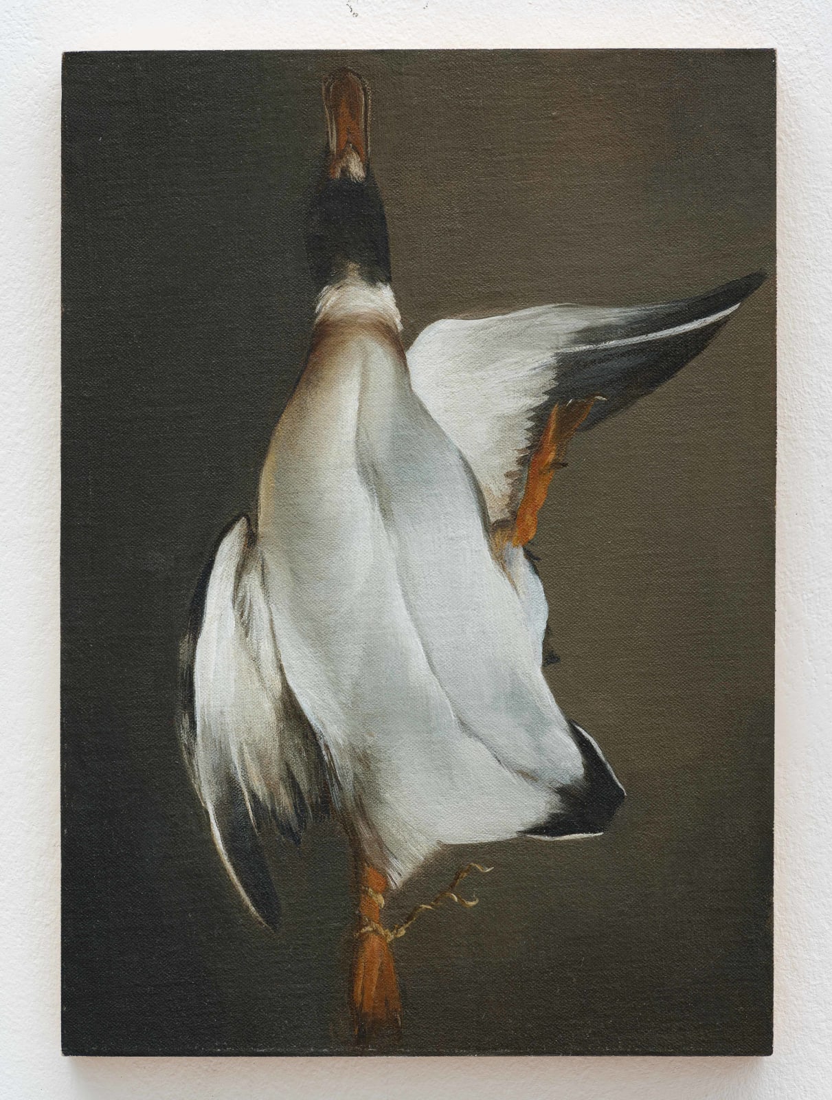 Edward Kay, Le Canard, 2005