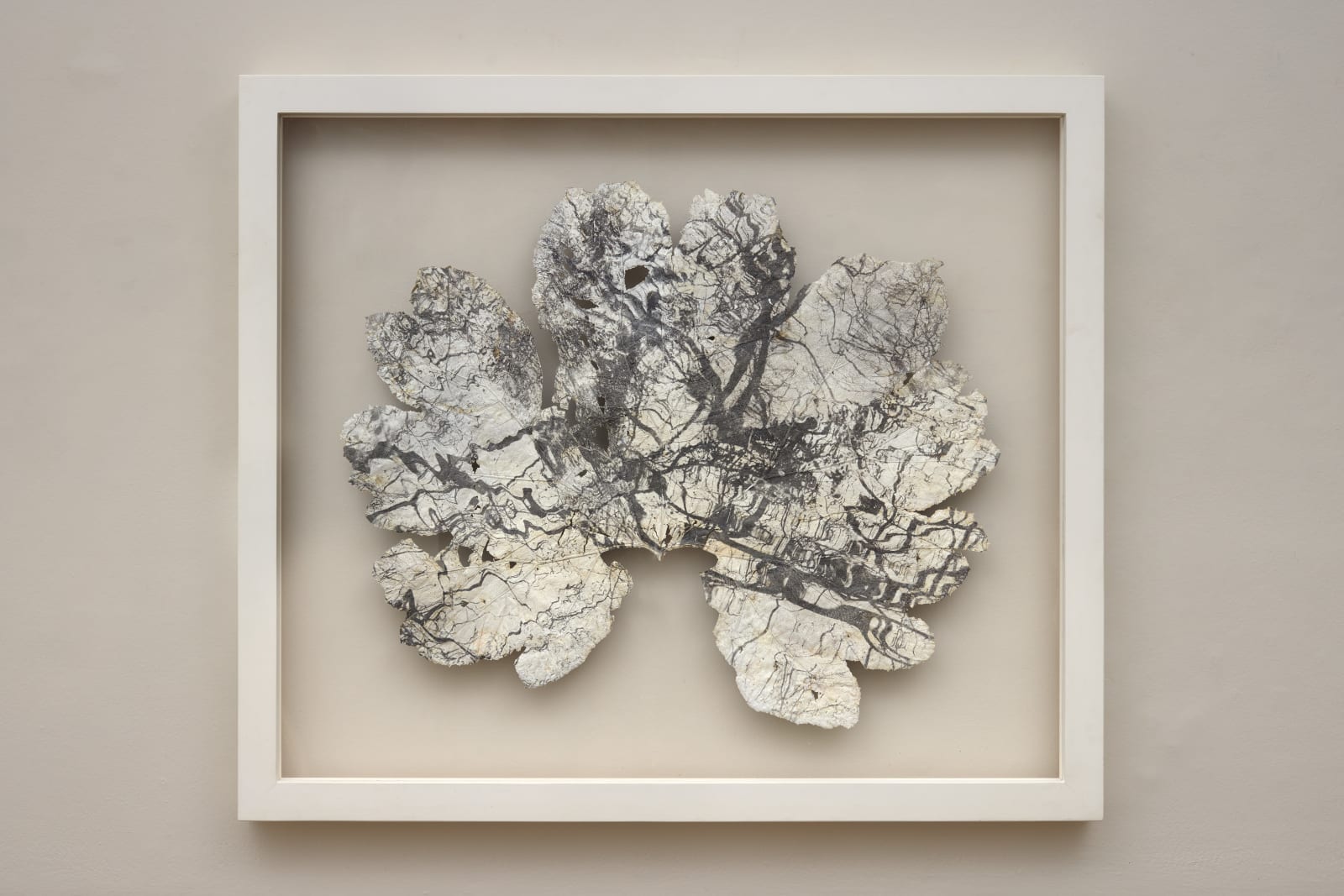 Dominique Lacloche, Leaf XV, 2025