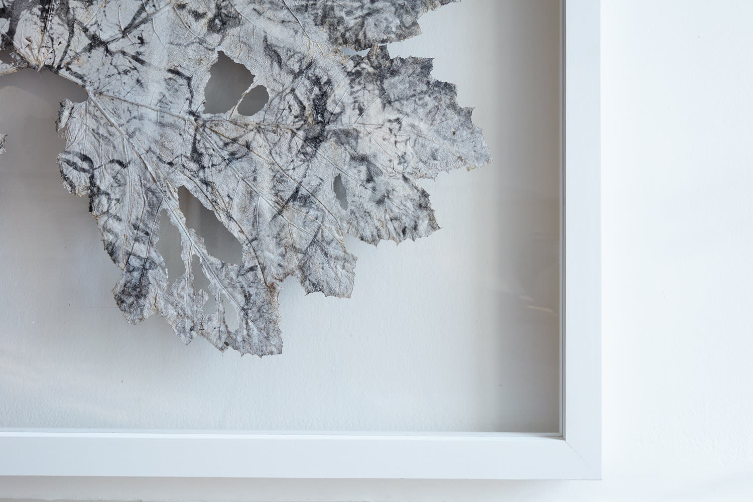 Dominique Lacloche, Leaf IV, 2019