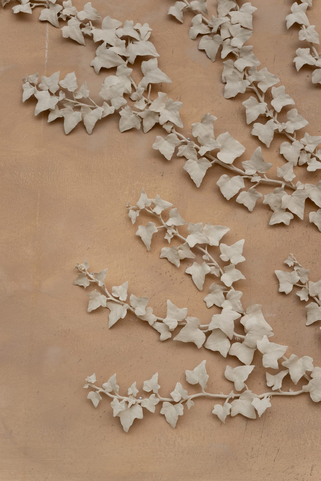 Kaori Tatebayashi, Ivy I, 2023